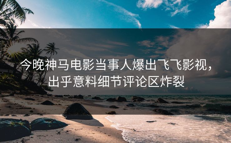 今晚神马电影当事人爆出飞飞影视，出乎意料细节评论区炸裂