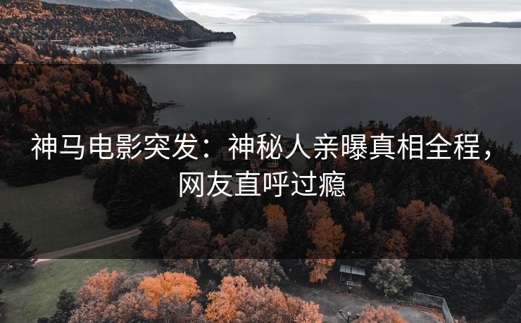 神马电影突发：神秘人亲曝真相全程，网友直呼过瘾