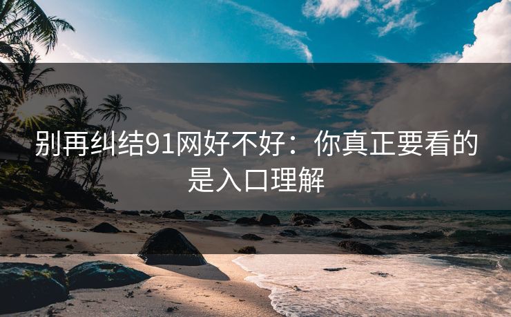 别再纠结91网好不好：你真正要看的是入口理解