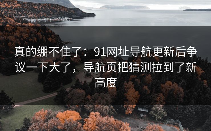 真的绷不住了：91网址导航更新后争议一下大了，导航页把猜测拉到了新高度